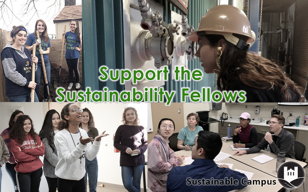 Support the Sustainability Fellows!